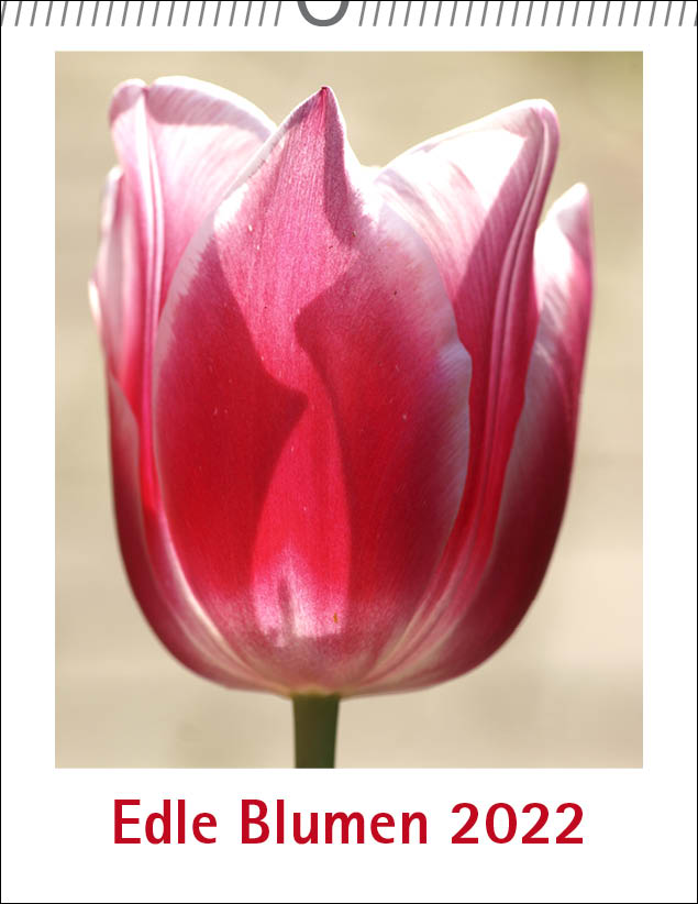 Edle Blumen 2022 Titelblatt